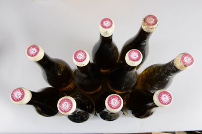 null 10 bouteilles VIN DE FRANCE Les Berceau Des Fées (els, ela, 4 et)