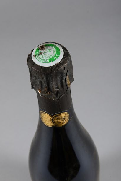 null 1 bouteille CHAMPAGNE "Champ Caïn", Jacquesson 2002 (els)