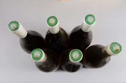 null 6 bouteilles CHINON "Champ-Chenin", Olga Raffault 1990 (blanc, es, elt, ela,...