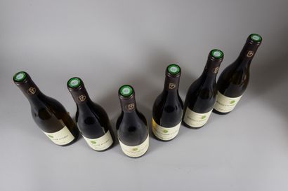 null 6 bouteilles POUILLY-FUISSE "En France 1er cru", Domaine Barraud 2020 (etls,...