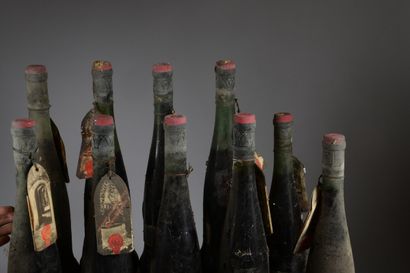 null 11 bouteilles CÔTES DE PROVENCE rouge, Château Ste-Roseline (3 de 1945, 1 LB,...