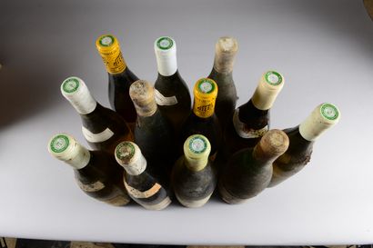 null 12 bouteilles CHASSAGNE-MONTRACHET (1 Clos St-Jean, Niellon 2006; 1 Caillerets,...