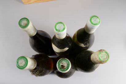 null 6 bouteilles CHINON Olga Raffault (3 "Champs Chenin"1986; et, ea, 1 LB; 2 de...