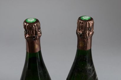 null 2 bouteilles CHAMPAGNE "Inflorescence La Parcelle", Cédric Bouchard (Blanc de...