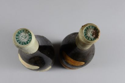null 2 bouteilles SAUMUR CHAMPIGNY "Le Bourg", Clos Rougeard 1996 (1 et, 1 ett,