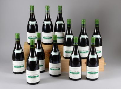 12 bouteilles NUITS-ST-GEORGES 