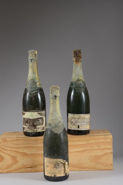 3 bouteilles CHAMPAGNE Alain Robert (ett,...