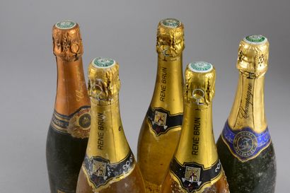 null 5 bouteilles CHAMPAGNE DIVERS (3 René Brun Blanc de Blancs, 1 Fallet, 1 Var...