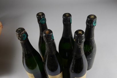null 6 bouteilles CHAMPAGNE "Vénus", Pascal Agrapart (elt, 1 ela)