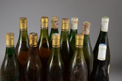 null 12 bouteilles VINS BLANCS (Saint-Chignin & Saint-Pourçain)