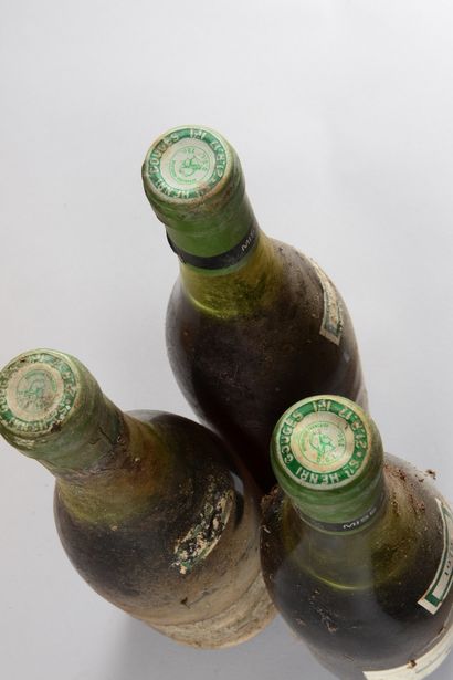 null 3 bottles NUITS-ST-GEORGES "Les St-Georges 1er cru", Henri Gouges 1972 (es,...