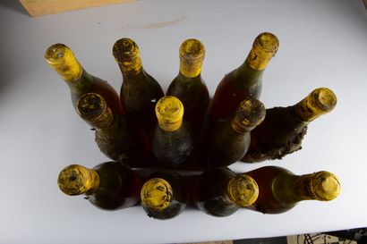 null 12 bouteilles VIN BLANC (SE, 3 TLB avec belle couleur, 3 LB, 4 MB évoluées,...