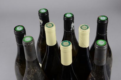 null 9 bouteilles SAUMUR DIVERS (4 Domaine des Roches Neuves "L'échelier" 2018; elt,...