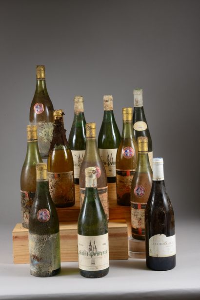 12 bouteilles VINS BLANCS (Saint-Chignin...