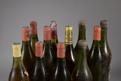 null 12 bouteilles ARBOIS DIVERS (dont Rijckaert, Badoz…)