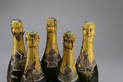 null 5 bouteilles CHAMPAGNE "Grand Echanson", Edouard Besserat 1964 (et, eta, coiffes...