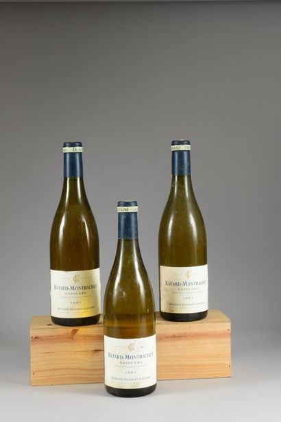 3 bouteilles BÂTARD-MONTRACHET, Fontaine-Gagnard...