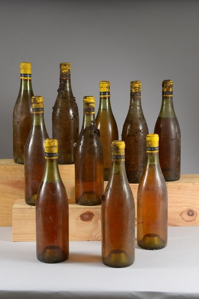 10 bouteilles VIN BLANC (SE, 8 TLB avec belle...