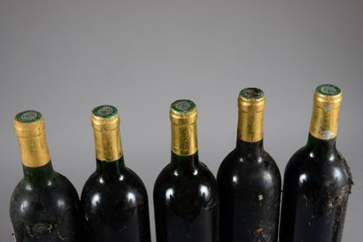null 5 bottles COTEAUX DU LANGUEDOC Peyre-Rose 1991 (es, elt, 4 "Clos des Cistes",...
