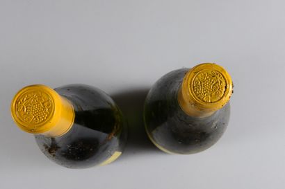 null 2 bottles of white Vin de Pays, Grange des Pères 2009 (1 elt, 1 et)