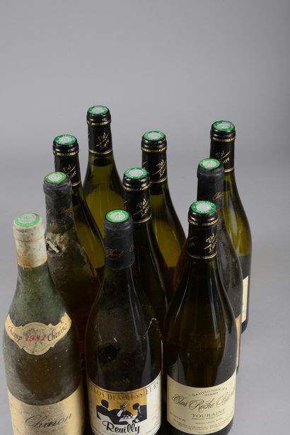 null 9 bottles LOIRE WHITE WINES (6 Touraine 2008 La Roche Blanche, 3 Reuilly 1997...