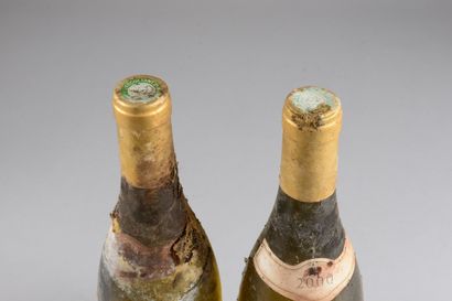 null 2 bottles BÂTARD-MONTRACHET, Fontaine-Gagnard 2000 (stained)