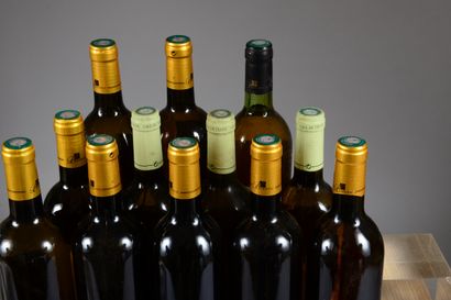 null 12 bouteilles VINS BLANCS DU SUD-OUEST (Gaillac 1998, Bergerac 2007, 2005, ...