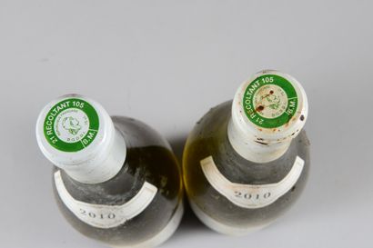 null 2 bouteilles CHASSAGNE-MONTRACHET "Les Vergers 1er cru", Michel Niellon 2010...