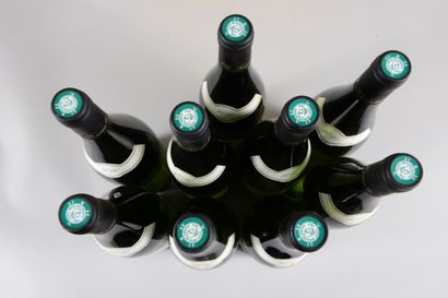 null 9 bottles VOUVRAY "sec", Foreau 2010 (Clos Naudin, elt, 3 ela)