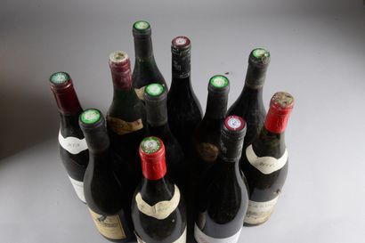 null 11 bottles BOURGUEIL DIVERS (2 Domaine de La Butte 2017; 3 Domaine de la lande,...