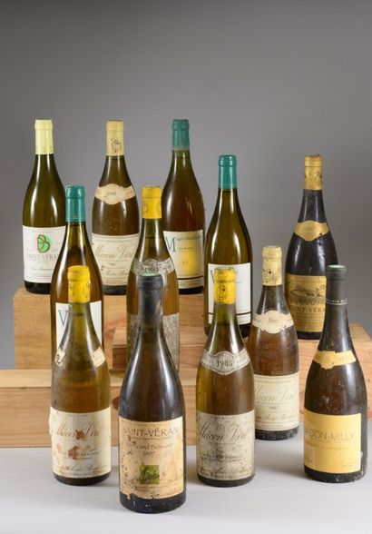 12 bouteilles BOURGOGNE (Macon-Viré, Milly,...