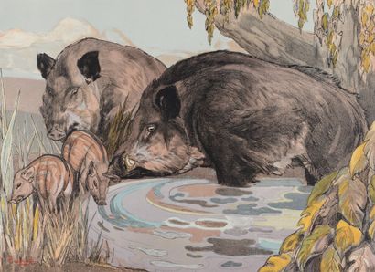 null Paul JOUVE (1878-1973) Goose, boar and wild boar. Original lithograph in color,...
