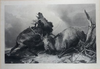 H.T. RYALL. The death of the stag and the...