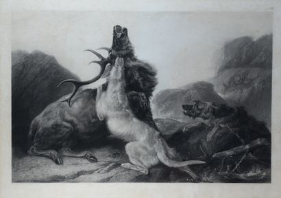 null H.T. RYALL. The death of the stag et the combat. Paire de gravures encadrées....
