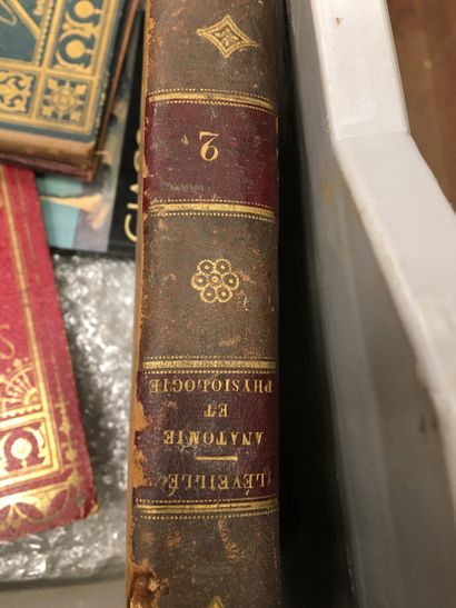 null Lot de volumes dont livre d'art Giacometti, Mémoire d'une Glace d'après Albert...