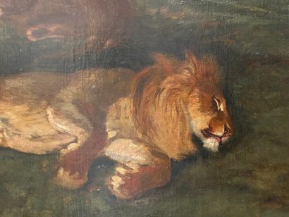 null Attribué à Auguste LANCON (1836-1887) Le repos des lions Huile sur toile 53...