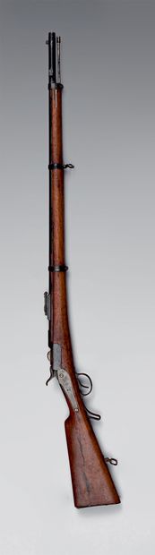 null Fusil d'infanterie Werndl à chargement par la culasse modèle 1873, canon et...