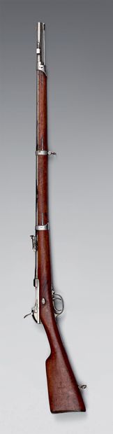 null Fusil d'infanterie Werder modèle 1869/1876 à chargement par la culasse, canon...