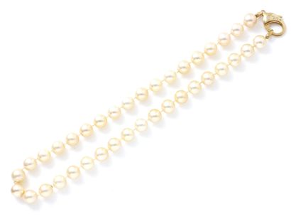 null Necklace featuring a strand of cultured pearls, approx. 10 mm. It is adorned...