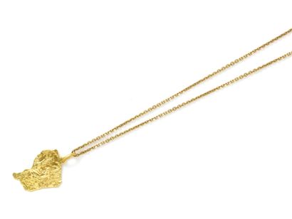 null 750 thousandths gold pendant featuring a map of French Guiana. It is held by...