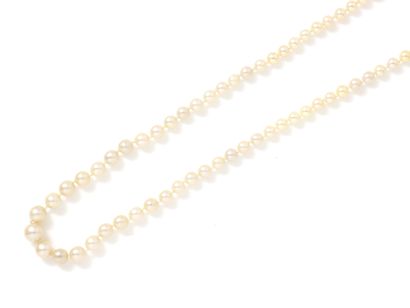 null Necklace featuring a drop of cultured pearls, approx. 3.2 to 6.8 mm. It features...