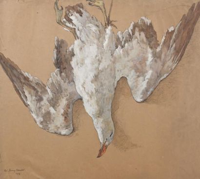 Edouard-Louis HENRY-BAUDOT (1871-1953) Goéland Fusain, aquarelle et gouache, signé...