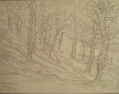 Edouard-Louis HENRY-BAUDOT (1871-1953) Kervarez, le bois d'Hélès, le Pouldu Dessin...