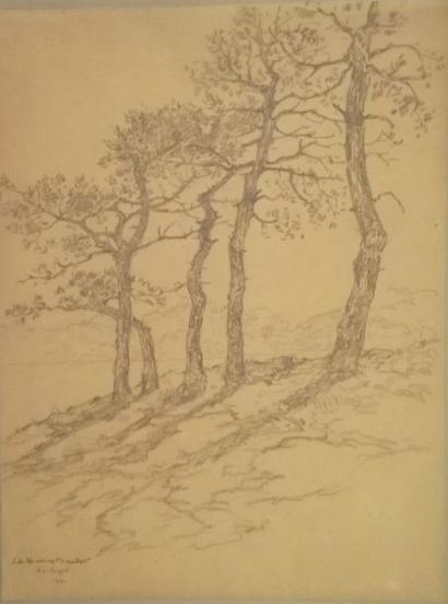 Edouard-Louis HENRY-BAUDOT (1871-1953) Pin à Kerbigot Dessin au crayon sur papier,...