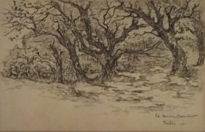 Edouard-Louis HENRY-BAUDOT (1871-1953) Chênes au Pouldu Dessin au crayon, signé,...