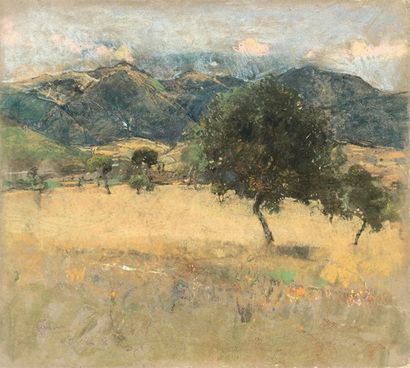 Giuseppe CASCIARO (Ortella 1863 - Naples 1941) Paysage de montagne Pastel, signé...