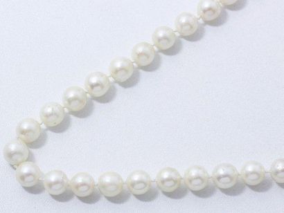 null Collier composé d'un rang de perles de culture d'environ 7.5 à 7.9 mm, agrémenté...