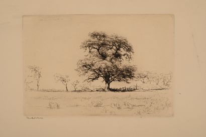Edgar CHAHINE (1874-1947) Study of willows....