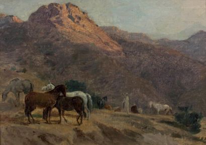 Gustave Achille GUILLAUMET (1840 - 1887) Chevaux arabes Huile sur toile, signée en...