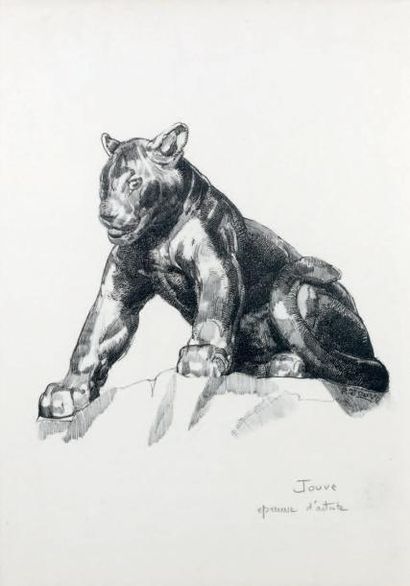 JOUVE Paul (1880 - 1973) «Jeune panthère assise». Lithographie au noir, épreuve d'artiste...